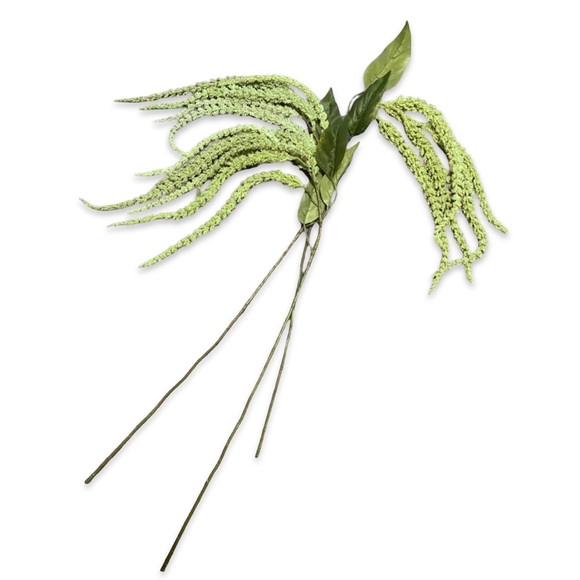 3 Cascading Pale Green Amaranth Stems - Picture 4 of 4